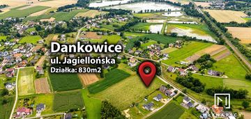 Ponad 8 arów w dankowicach!