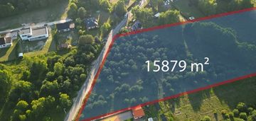 Duża działka 1,5 ha pod dom lub stadninę jadwinin