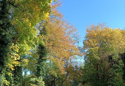 0 % prowizji !  oatatnie - 2 pokoje w tej cenie !