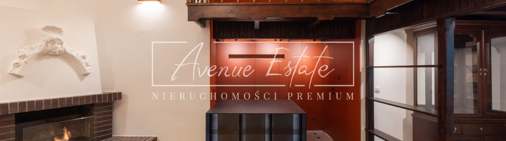 Al. ujazdowskie / dwupoziomowy / kominek