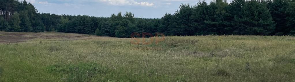 Działka 3343 m2 z lasem - wzgórza ostrzeszowskie