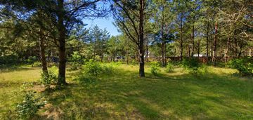 Działka 1139 m² | kameralny zagajnik!!