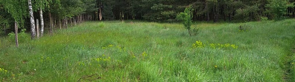 Działka siedliskowa na sprzedaż w antoniewie