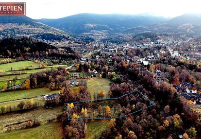 Działka widokowa dla inwestora - karpacz