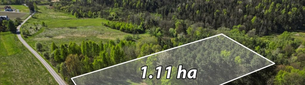Działka budowlana z lasem w gminie mogilany