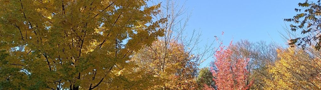 0 % prowizji, bez pcc, ostatnie 2 pok w tej cenie