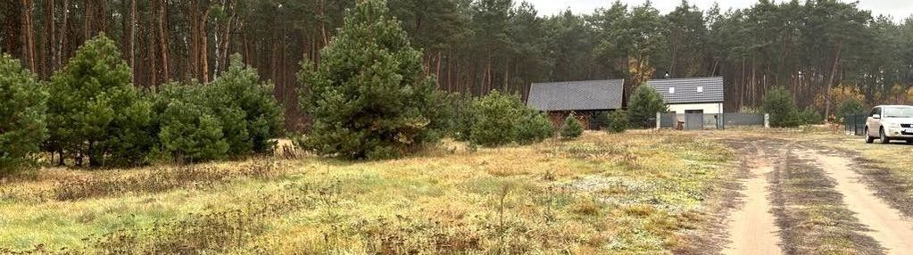 Działki 10 km od torunia w silnie, wszystkie media