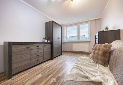 Rozkład, dwustronne, winda, piwnica, blisko