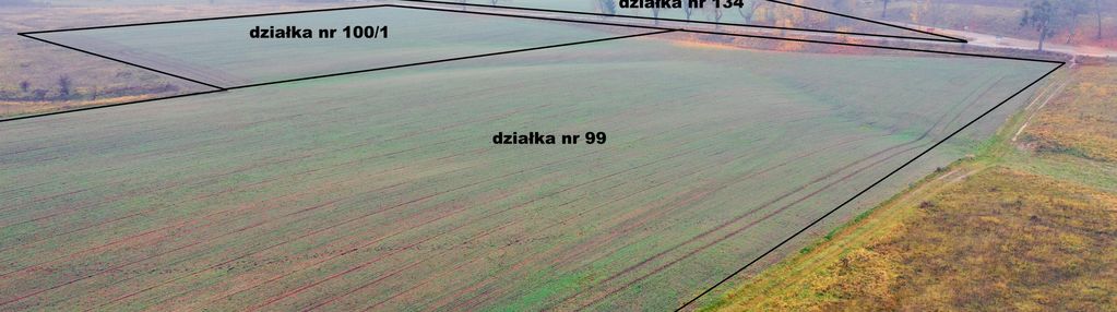 Działki rolne w świetnej lokalizacji