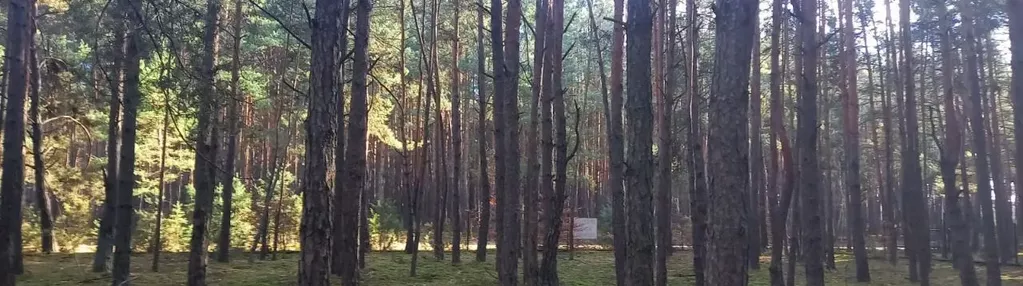 Działka na sprzedaż 2500m2