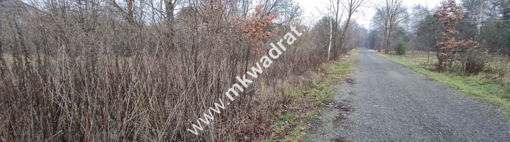 ⭐⭐⭐⭐  działa 1122 m mpzp media budy grzybek   ⭐⭐⭐⭐