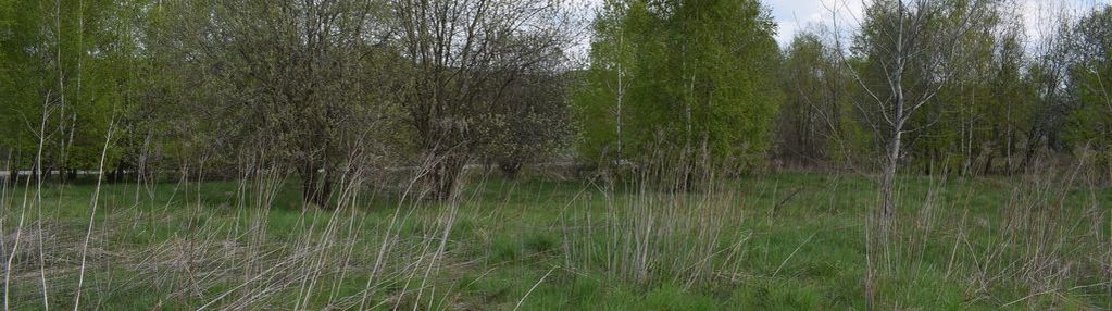 Działka rolno-budowlana 28a, chmielnik