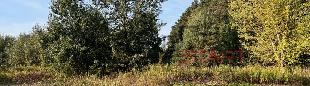 Działka rolna 2,84ha w nosach, koło ojrzanowa.