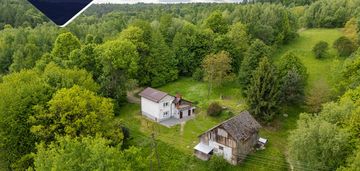 Dom wśród zieleni | 1,57 ha | łopuszka wielka