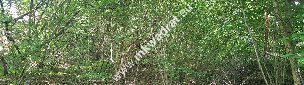 Działka budowlana 1 305 m², asfaltowy wjazd, prąd