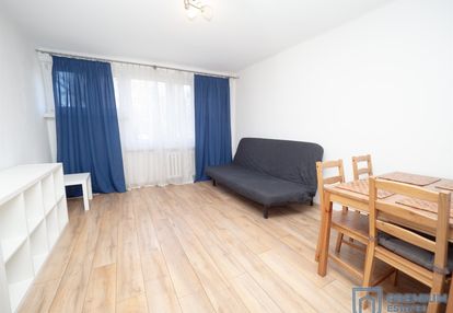 Tania, ładna kawalerka na olszy, celarowska