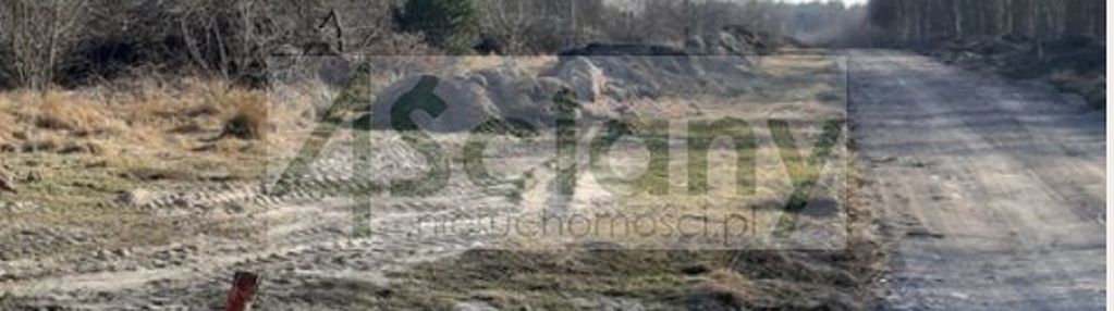 Cicho na działce w gminie puszcza mariańska