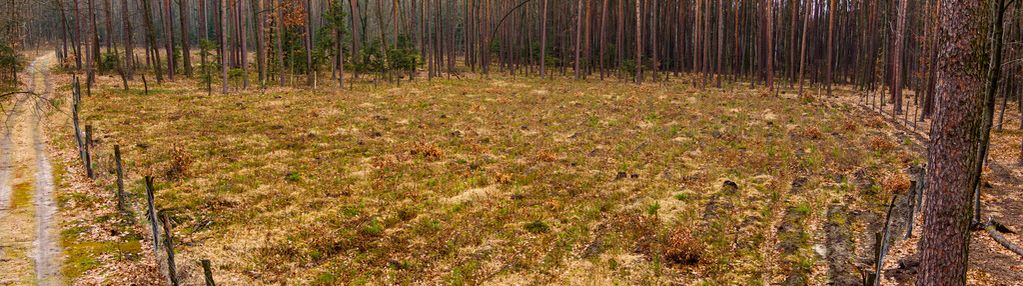 Działka budowlana w msc. czarna- powiat dębicki
