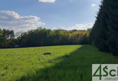 Klimatyczna działka w ruścu koło nadarzyna