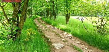 Działka budowlana widok na pasmo karkonoszy