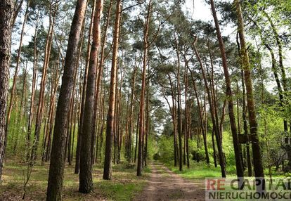 Działka w lesie 5062m2 stare babice zielonki wieś