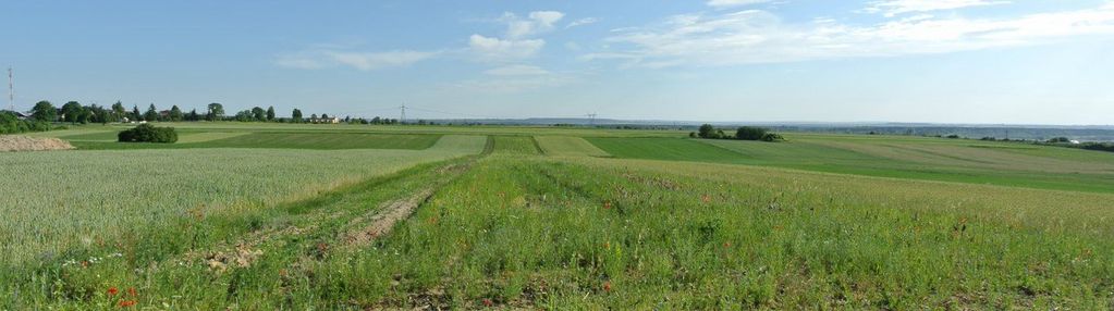 Działka 7100m2, górki, kije.