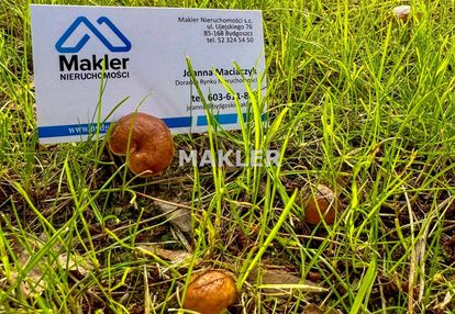 Działka osowa góra