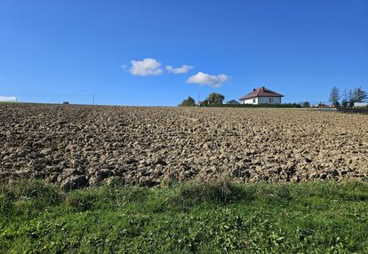 Działka w miejscowości moszczenica
