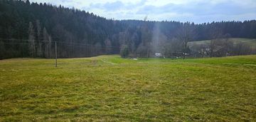 Działka siedliskowa- 99 arów- beskid sądecki