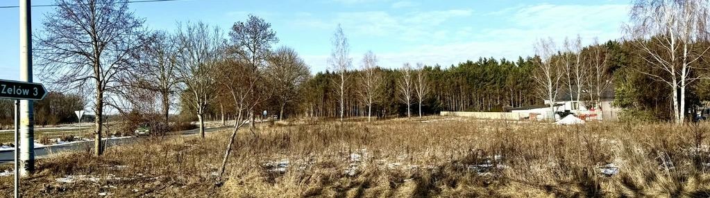 2 działki w leśnym otoczeniu, 0,2503ha i 0,1500ha