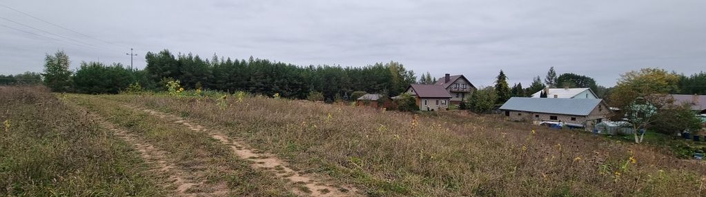 Działka budowlana, aleksandrowo, krasnopol