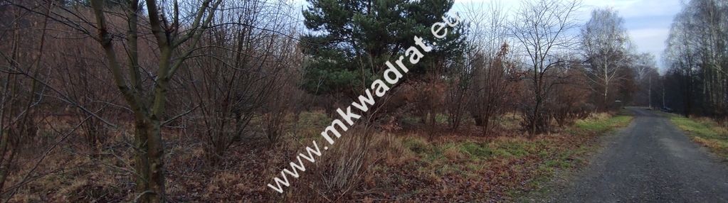 ⭐⭐⭐⭐  działka budowlana 1122 m budy grzybek ⭐⭐⭐⭐