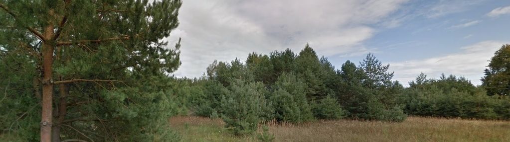 Nowa cena ! promiski, augustów, działka pod lasem