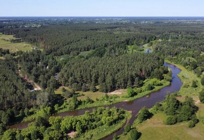 Nad rzeką liwiec | 12 500 m2 | inwestycyjnie