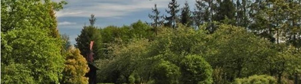 Studio nagrań - rozwój osobisty - joga