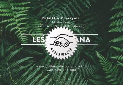 Działka z widokiem na las, obok vilpark