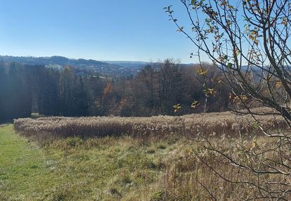 Działka rolna południowy stok, ciężkowice 75 ar !