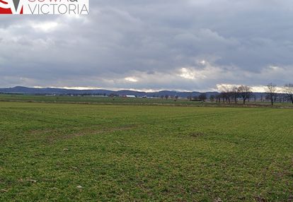 Działki budowlane koło świebodzic