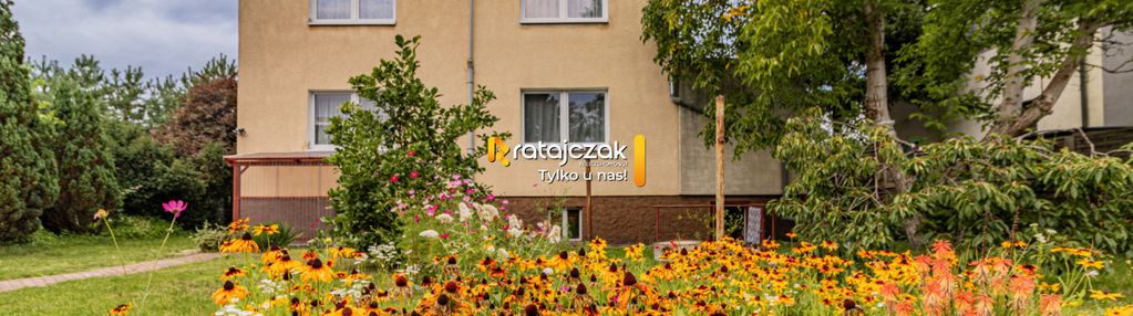 Stegna| dom i domek letniskowy| 14 pokoi pod najem
