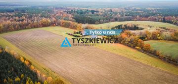 Działka szczenurze