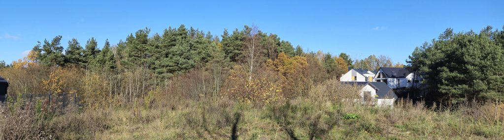 Działka z projektem koncep. domu, widok na las