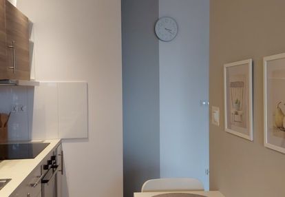 Ruczaj ul.miłkowskiego od iv 26