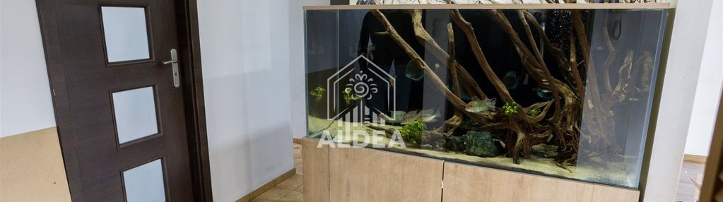 Przestronne m5 na wyżynach