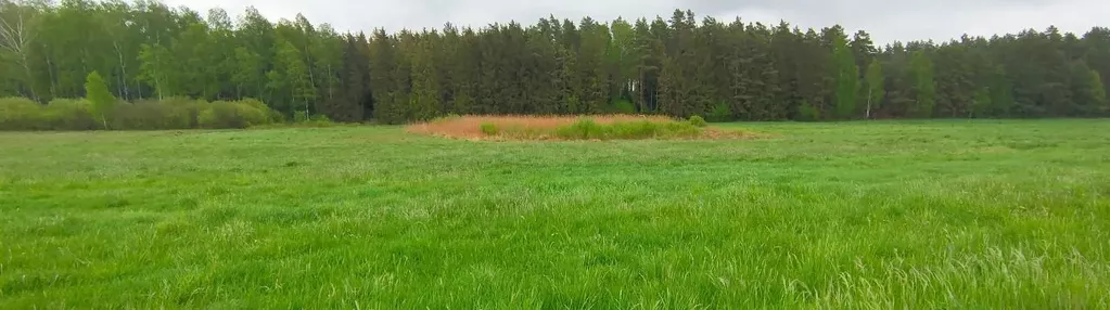 Działka na sprzedaż 1000m2