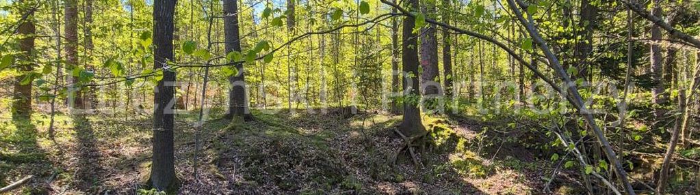 Piękne siedlisko - kwieciszowice