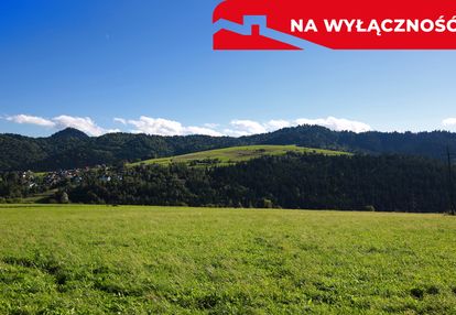 Działka w grywałdzie; 1,1003 ha; warunki zabudowy
