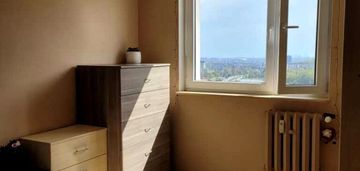 Ielony azyl w gdańsku – widok na las