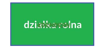 Ok.1,62ha w kotorzu wielkim
