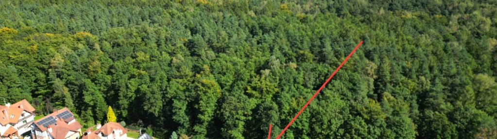 Pierwsza linia zabudowy do lasu | unikatowy dom