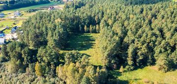 Działka w środku lasu